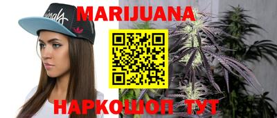 прущие крисы Будённовск