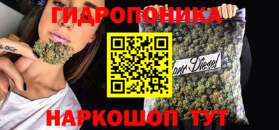 прущие крисы Будённовск